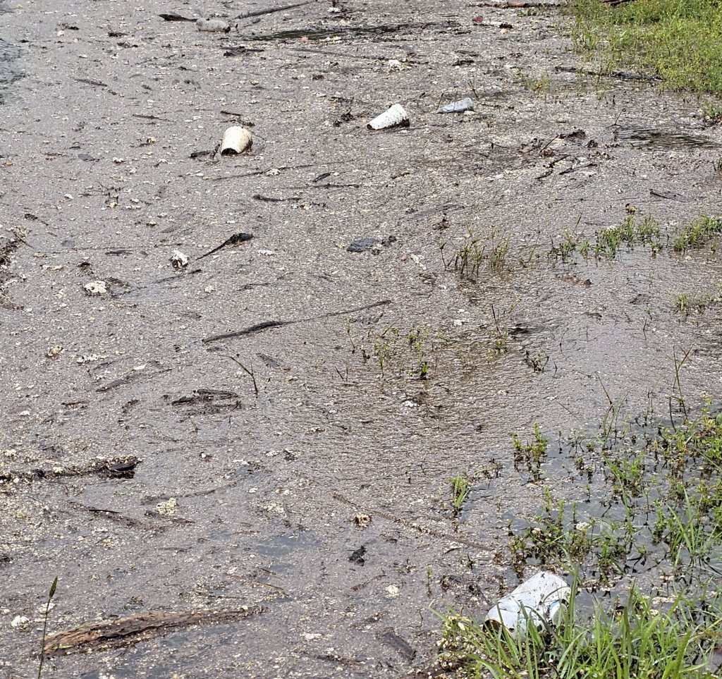 Close-up view of a muddy area with scattered debris, including plastic cups and sticks, along with patches of green grass.