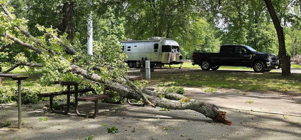 Fallen tree branch in a campsite with an Airstream trailer and a black pickup truck parked nearby.